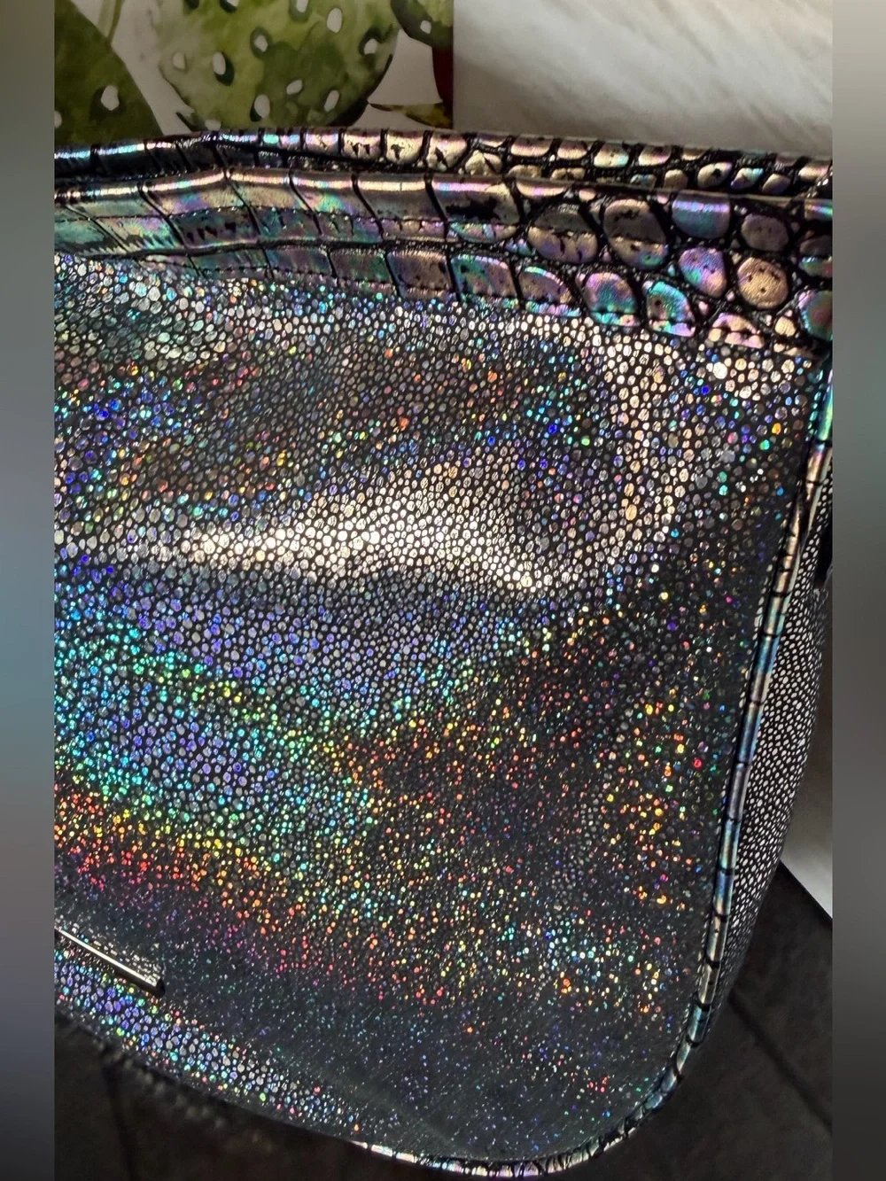 Brahmin gorgeous bag…sparkles